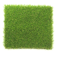 AST Ameriplay Artificial Grass