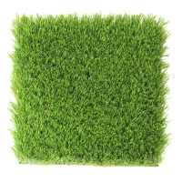 AST Epic Max synthetic turf