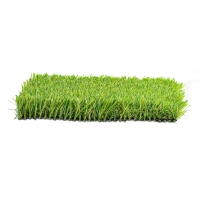 AST Epic XL synthetic turf