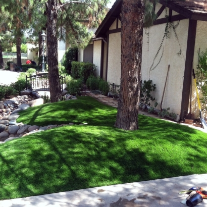 AST Elite Lawn: Premium Look, Minimal Upkeep