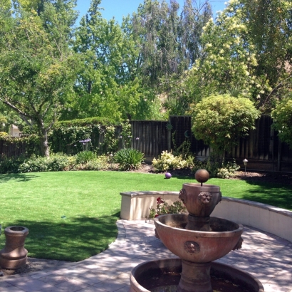 Suburban Dream: My Lawn Upgrade with ASTs Elite Lawn
