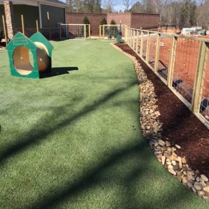 AST Ameripet Synthetic Turf