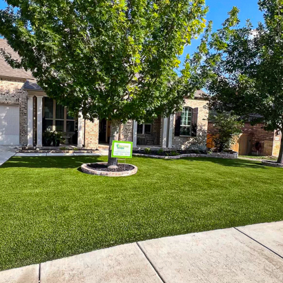 Front yard artificial turf installation with AST Supreme-60 in San Antonio, TX under mature tree