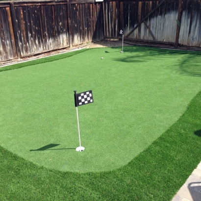 The Pinnacle of Backyard Golfing: AST Luxury Golf Products