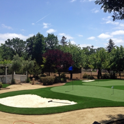 Decent Grass No Problems as of yet