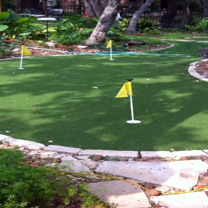 Perfect for My Backyard Mini-Golf