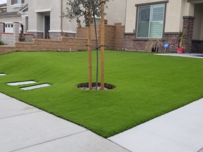 Synthetic Turf Front Yard