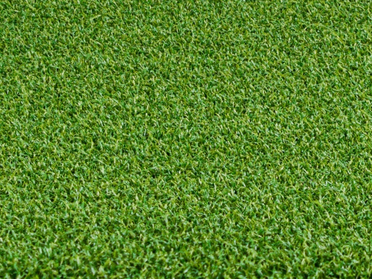 AST Shot Maker II putting greens